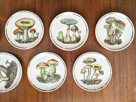 Small Ceramic Coaster with Mushrooms by Bucciarelli, Milano, 1950s, Set of 7-RD-2032118