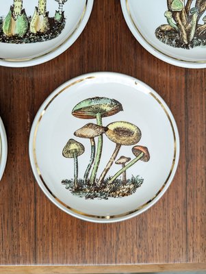 Small Ceramic Coaster with Mushrooms by Bucciarelli, Milano, 1950s, Set of 7-RD-2032118