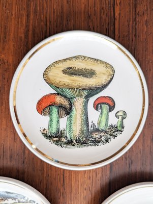 Small Ceramic Coaster with Mushrooms by Bucciarelli, Milano, 1950s, Set of 7-RD-2032118