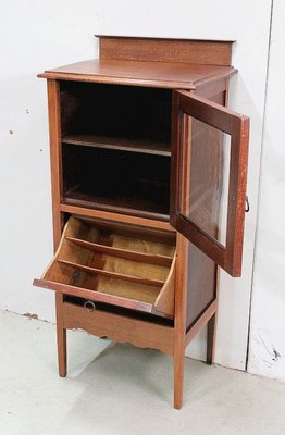 Small Display Cabinet and Magazine Rack, 1920s-RVK-768784