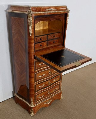 Small Napoleon III Mid 19th Century Secretary-RVK-1152488