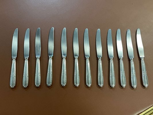 Small Silver Metal and Stainless Steel Knives from Paris Ravinet, Set of 12-QYF-1725339