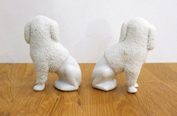 Small Staffordshire Poodle Dogs in Porcelain, Early 20th Century, Set of 2-RNR-2041886