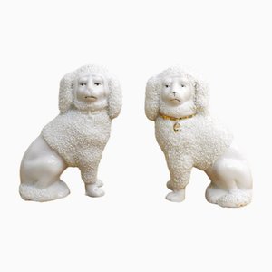 Small Staffordshire Poodle Dogs in Porcelain, Early 20th Century, Set of 2-RNR-2041886