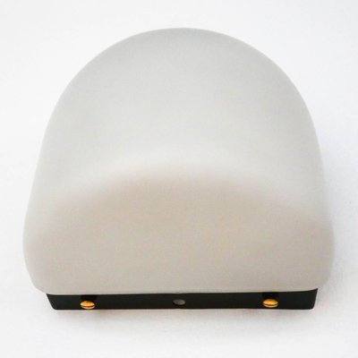 Small Wall Light in Frosted Opaline Glass, 1960s-PSG-1770418