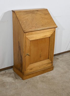 Small Walnut Cabinet, 19th Century-RVK-1762883