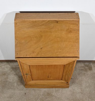 Small Walnut Cabinet, 19th Century-RVK-1762883