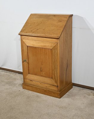 Small Walnut Cabinet, 19th Century-RVK-1762883