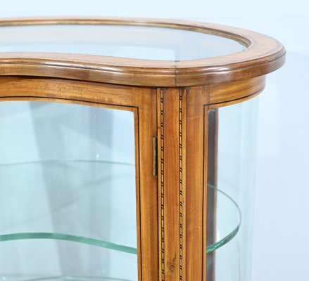 Small Yellow Mahogany Rognon Display Case, 1910s-RVK-1735248