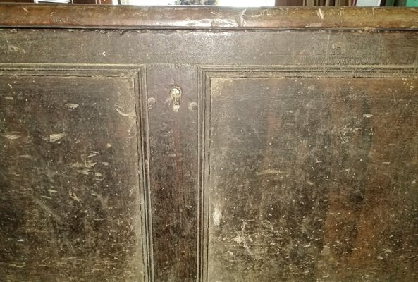 Solid Walnut Chest with 2 Panels, Italy, 1600s-RAQ-1416998