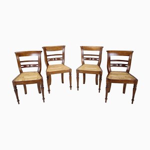 Solid Wood Dining Chairs, Czechoslovakia, 1950s, Set of 4-TZ-1124686