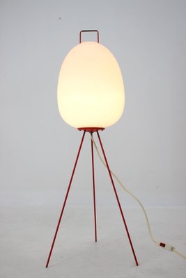 Space Age Floor Lamp Egg by Josef Hůrka, 1960s-TZ-1123937