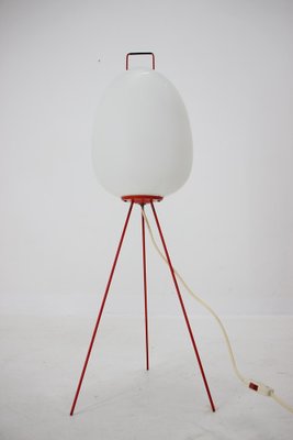 Space Age Floor Lamp Egg by Josef Hůrka, 1960s-TZ-1123937