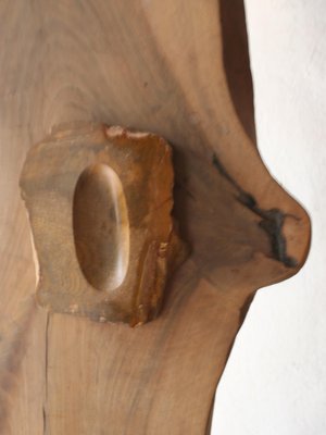 Spanish Fossil Wood Ashtray, 1970s-GT-734221