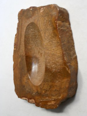 Spanish Fossil Wood Ashtray, 1970s-GT-734221