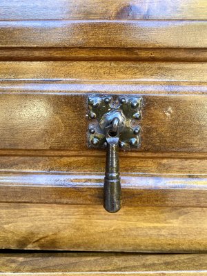 Spanish Walnut Chest with Drawer and Door, 1930s-NOU-1819556