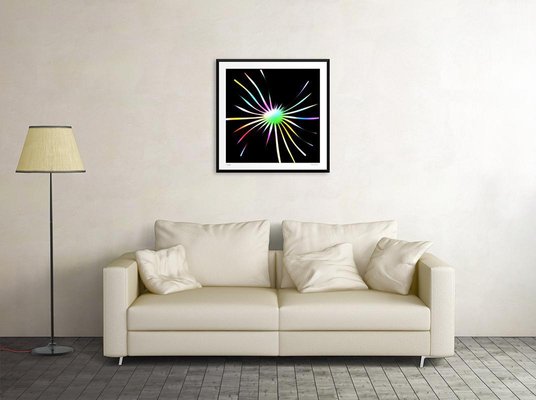 Spider Web Giclée Print by Dadodu, 2013-ZCI-781472