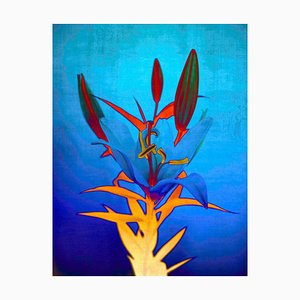 Sumit Mehndiratta, Blue Flame Lily, 2023, Archival Pigment Print on Canvas-CHG-2037290