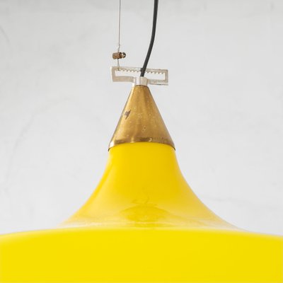 Suspension Lamps attributed to Alessandro Pianon for Vistosi, 1960s, Set of 2-FWM-1741721