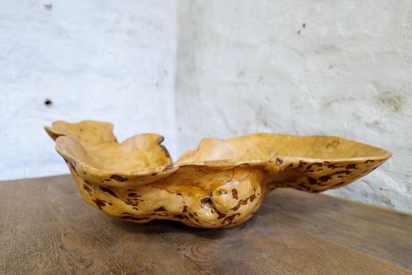 Swedish Folk Art Organic Burl Curly Birch Tiger Bowl, 1980s-UYK-1396130