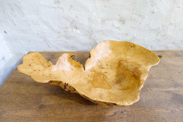 Swedish Folk Art Organic Burl Curly Birch Tiger Bowl, 1980s-UYK-1396130