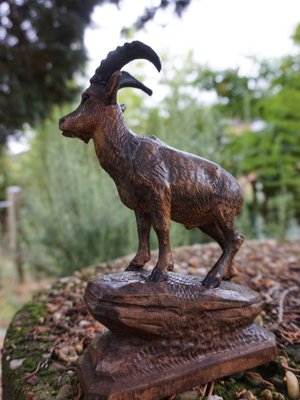 Swiss Black Forest Ibex Sculpture, 1920s, Wood-EA-1703971