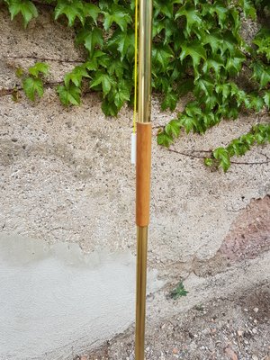 Swiss Floor Lamp from Lemag, 1960s-AIU-666260