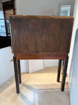 Tall Art Deco Cabinet in Macassar Veneer and Mahogany, France, 1930s-NNB-1436451