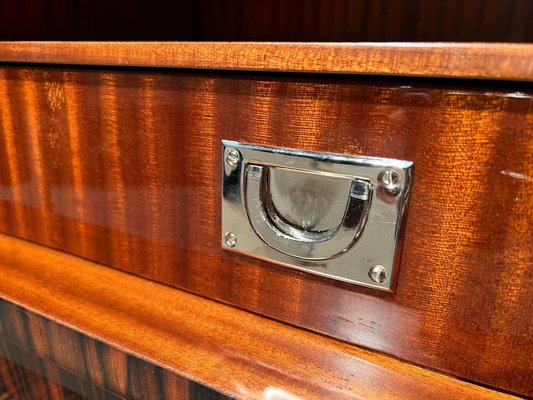 Tall Art Deco Cabinet in Macassar Veneer and Mahogany, France, 1930s-NNB-1436451