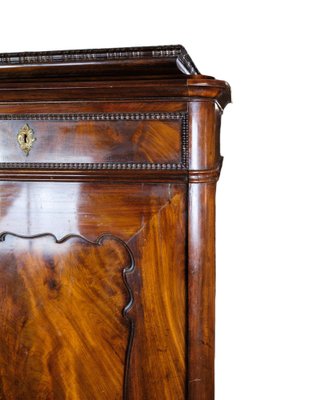 Tall Cabinet in Polished Mahogany, 1850s-UY-1723446