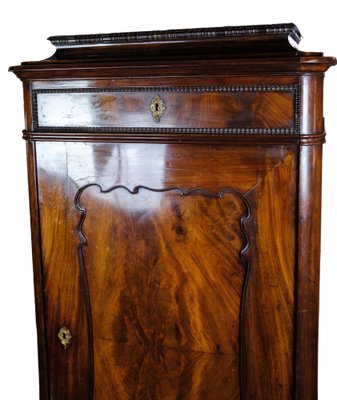 Tall Cabinet in Polished Mahogany, 1850s-UY-1723446