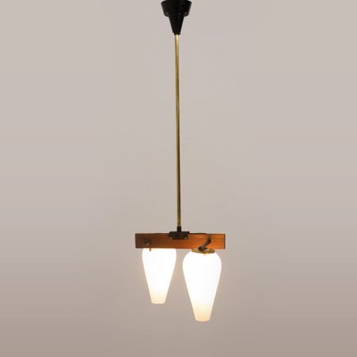 Teak, Brass and Opal Glass Chandelier, 1960s-EZ-864167