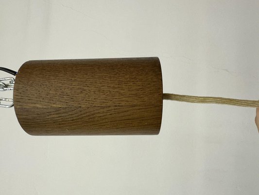 Teak Hanging Lamp from Temde Leuchten, 1970s-BGP-2020852