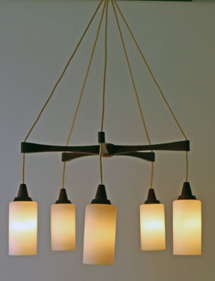 Teak Opal Glass Ceiling Lamp from Temde, 1950s-ESB-1402390