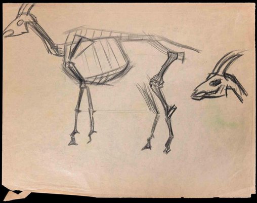 The Goat Skeleton, Original Drawing, Early 20th-Century-ZCI-1326676