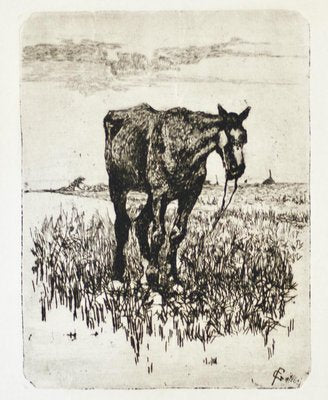 The Old Horse - Original Etching by Giovanni Fattori - 1900-1908 ca. 1900-1908-ZCI-756101