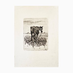 The Old Horse - Original Etching by Giovanni Fattori - 1900-1908 ca. 1900-1908-ZCI-756101