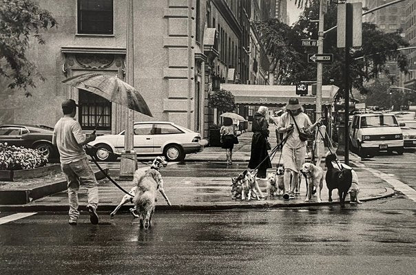 Thomas Consani, New York (Dog Sitters), 1994, Silver Print-KHH-1743824