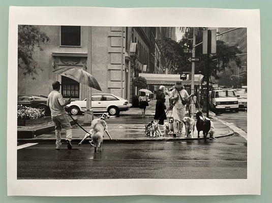 Thomas Consani, New York (Dog Sitters), 1994, Silver Print-KHH-1743824