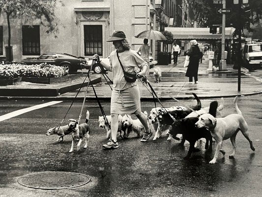 Thomas Consani, New York (Ten Dogs), 1994, Silver Print-KHH-1743846