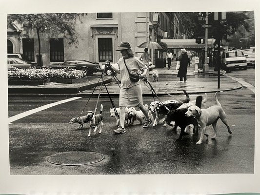 Thomas Consani, New York (Ten Dogs), 1994, Silver Print-KHH-1743846