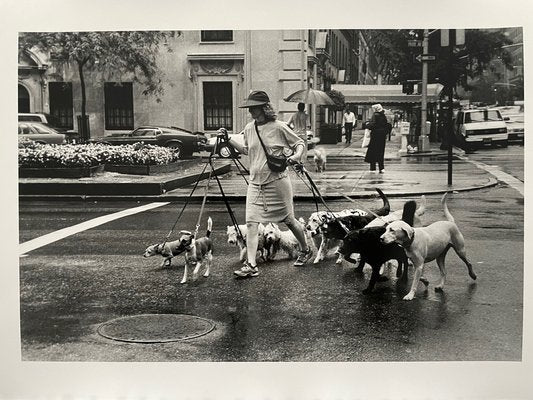 Thomas Consani, New York (Ten Dogs), 1994, Silver Print-KHH-1743846