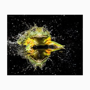 Tim Platt, Bullfrog #1, 2015, Archival Pigment Print-OBQ-1752057