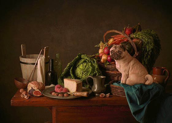 Tim Platt, Dutch Dog #2, 2015, Archival Pigment Print-OBQ-1821098