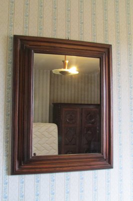 Tinted Natural Wood Mirror, 1980s-RDN-977902