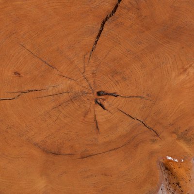 Tree Trunk Coffee Table-VT-990059