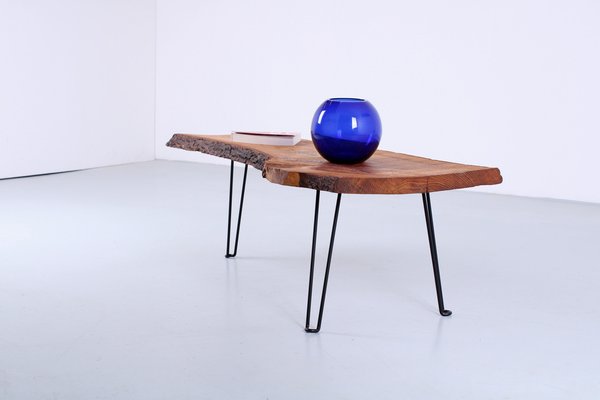 Tree Trunk Coffee Table from Werkstätte Carl Auböck, 1960s-XT-1705314