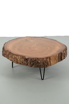 Tree Trunk Coffee Table with Hairpin Legs-OKG-2039554