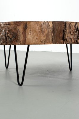 Tree Trunk Coffee Table with Hairpin Legs-OKG-2039554