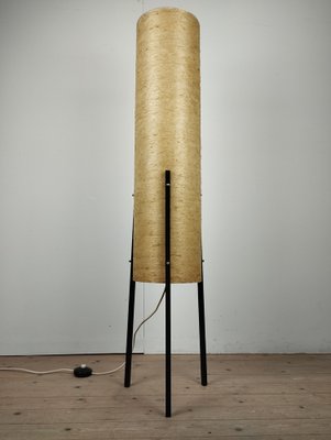 Tripod Floor Lamp in Fiberglass and Metal from Dame & Co., 1960s-SFQ-1802324